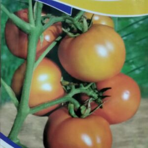 Tomato Seed. 100% Organic Hybrid Seeds and are Packed in a Paper Packet , Manufactured by Eco Care Seeds.