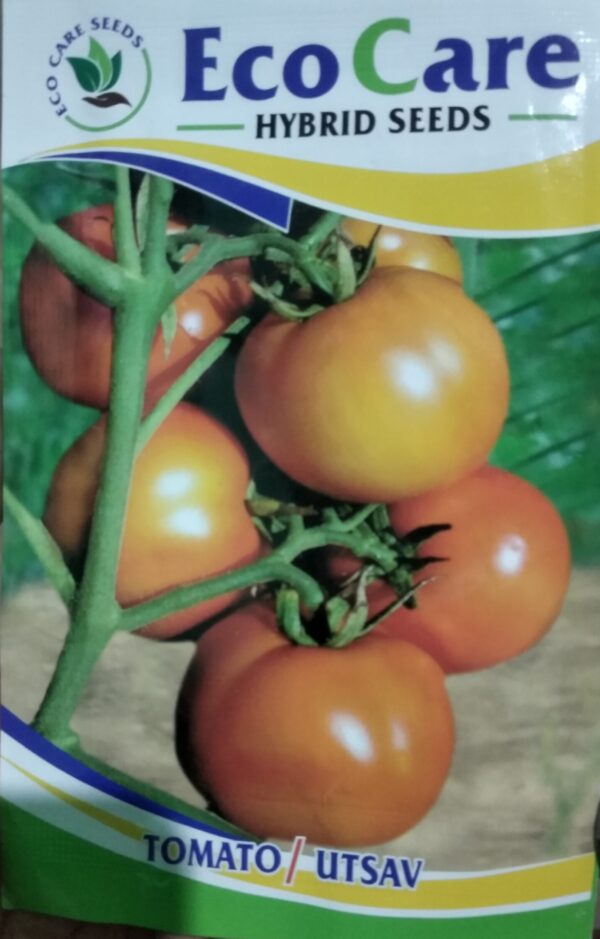 Tomato Seed. 100% Organic Hybrid Seeds and are Packed in a Paper Packet , Manufactured by Eco Care Seeds.