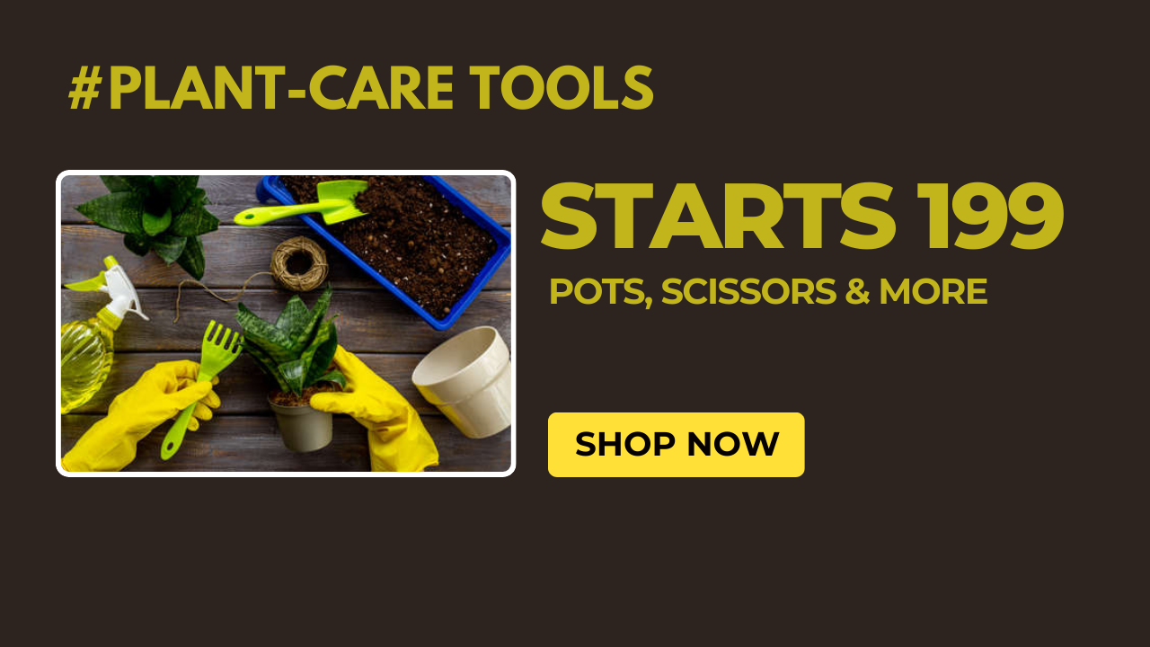 Gardening-tools-for-gardner-Online-Shop-bazar-Starts-199-Best-Value-Buy-Now