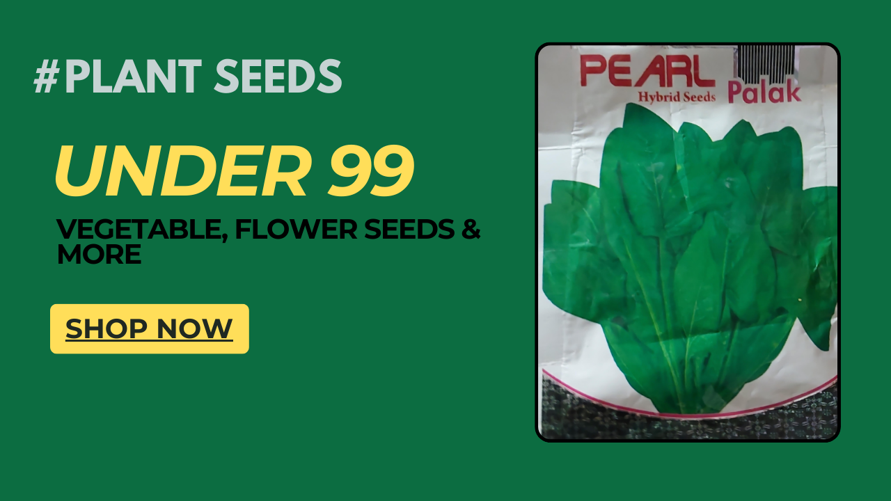 Plant-Seeds-Online-Shop-bazar-Under-99-Best-Value