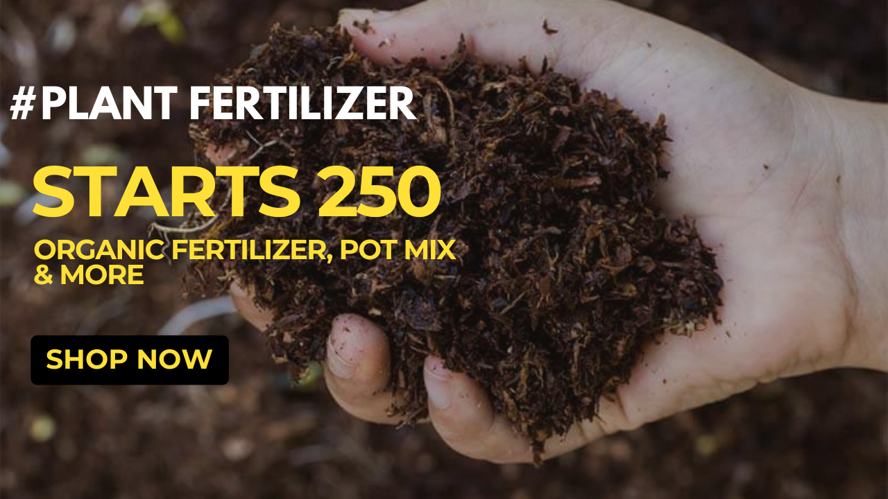 fertilizer-for-Indoor-plants-Online-Buy-Best-Starts-250-Best-Value-Buy-Now.