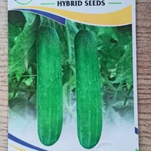 Cucumber or Khera Seed . Variety is Devraj and 100% Organic Hybrid Seeds and are Packed in a Paper Packet , Manufactured by Eco Care Seeds.